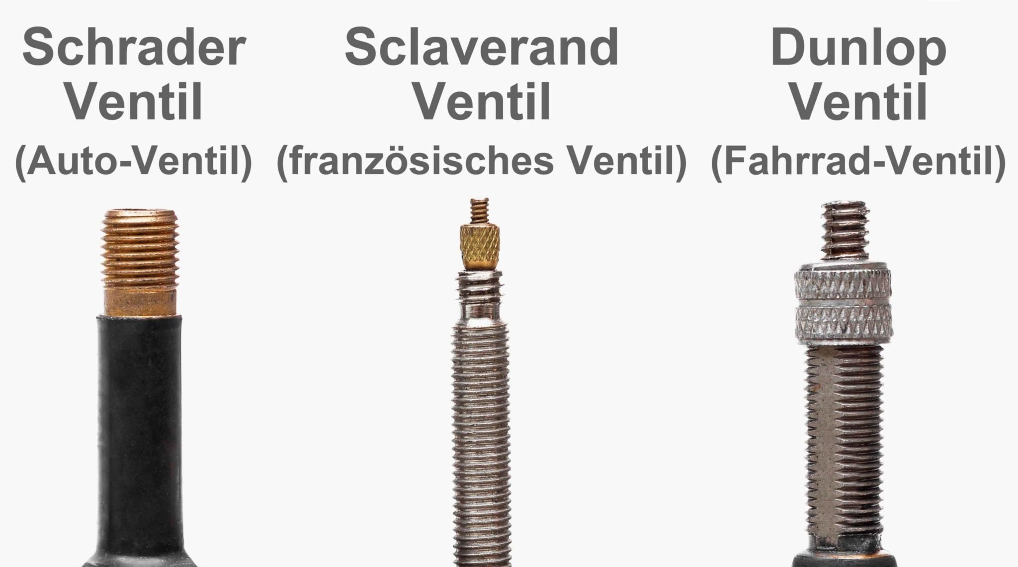 Schlauch 24" Schrader-Auto Ventil (24" x 1.50 - 2.40)